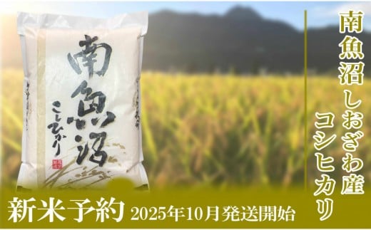 【新米予約・令和7年産】定期便／２kg×12ヶ月 生産者限定 南魚沼しおざわ産コシヒカリ【2025年10月上旬より順次発送予定】