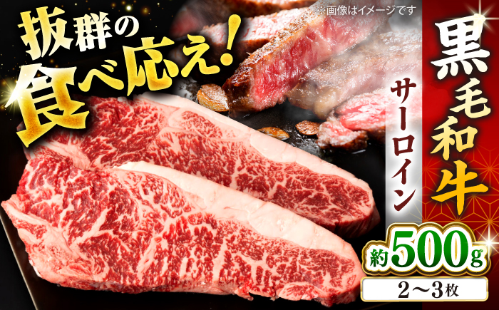サーロイン ステーキ 500g（2～3枚） 長崎県産黒毛和牛＜宮本畜産＞ [CFA025] 長崎 西海 和牛 黒毛和牛 ステーキ  牛肉 サーロインステーキ 贈答 ギフト