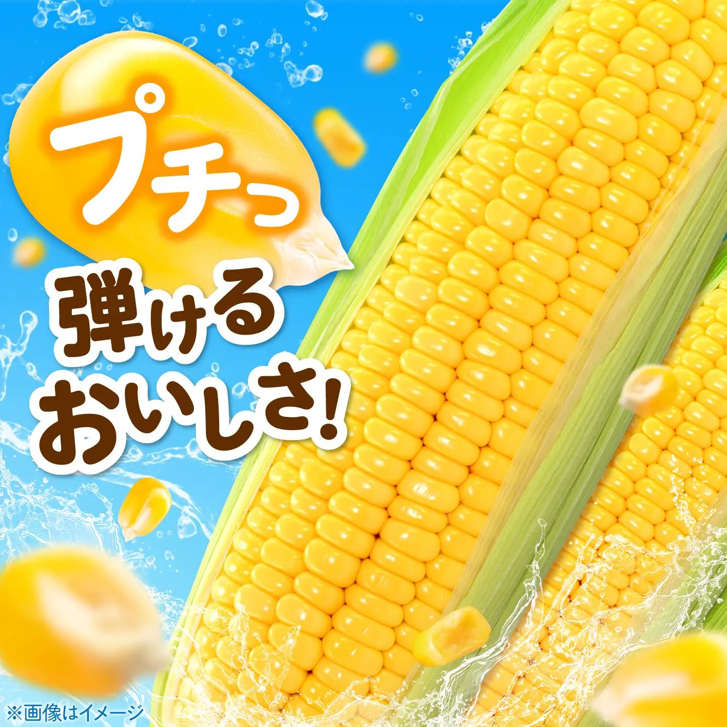 とうもろこし 味来 26本 [AJAK007] とうもろこし