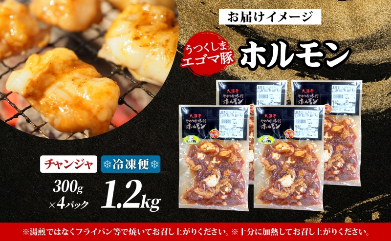大沼亭 市場直営店 ホルモン チャンジャ 約1.2kg ホルモン焼き ピリ辛 豚ホルモン 豚ホル ぷるぷる とろける 食感 お酒のお供 おつまみ おかず ごはんのお供 冷凍 うつくしまエゴマ豚 お取り
