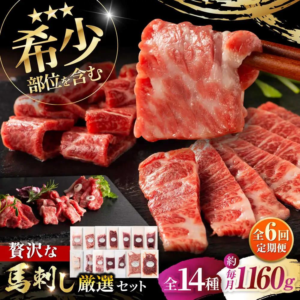 6回定期 希少部位と贅沢なふじ馬刺し厳選セット 3897 BHAD085 希少部位