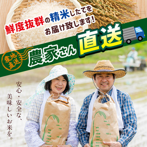 【先行予約】栃木県産コシヒカリ 5kg×2 (10kg) | 新米 真岡市産 こしひかり コシヒカリ とちぎの星 銘柄 お米 米 おにぎり おむすび ふるさと納税 先行 予約 栃木県 真岡市 送料無料