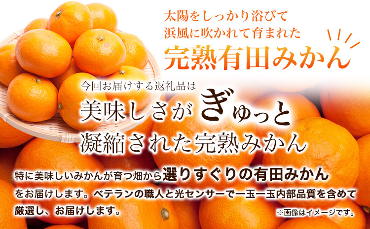 ＜先行予約＞厳選　完熟有田みかん5kg+250g（傷み補償分）【光センサー選果】 池田鹿蔵農園@日高町（池田農園株式会社）《11月中旬-1月下旬頃出荷》和歌山県 日高町【離島配送不可】