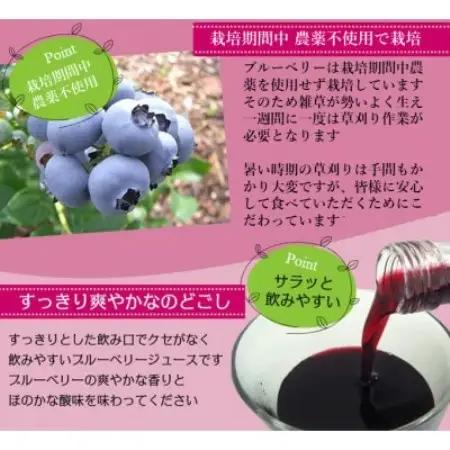 【栽培期間中農薬不使用】遠野のブルーベリーから絞った原液 180ml×2本セット 道の奥ファーム【1476685】