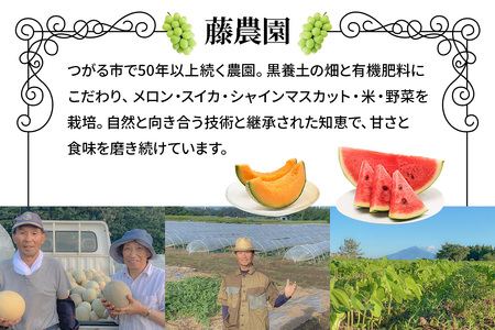 [羅王・紅まくら] スイカ 食べ比べ 2玉セット｜つがる市産 青森産 産直 2026年産 令和8年 夏 すいか 西瓜 果物 フルーツ 旬 特産 藤農園 農福連携 ラオウ らおう 羅皇 [0620]