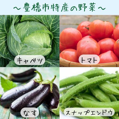 【ふるさと納税】野菜ソムリエ 厳選 野菜 果物セット 8～12品 6回 定期便 野菜セット 野菜 フルーツ おまかせ お楽しみ 半年 定期 旬 季節限定 数量限定
