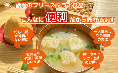 フリーズドライ業務用 南関あげの味噌汁15食 BY006