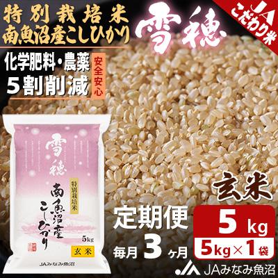 ふるさと納税 南魚沼市 【毎月定期便】特別栽培米南魚沼産こしひかり「雪穂」 玄米 5kg 全3回