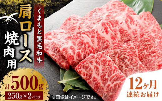 
【12回定期便】くまもと黒毛和牛 焼肉用 肩ロース 500g（250g×2pc）【馬刺しの郷 民守】 熊本県産 九州産 和牛 お肉 肉 バラ 黒毛和牛 [ZBL120]
