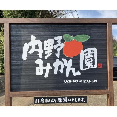 ふるさと納税 武蔵村山市 内野みかん園のみかんワイン 375ml×1本 |  | 02
