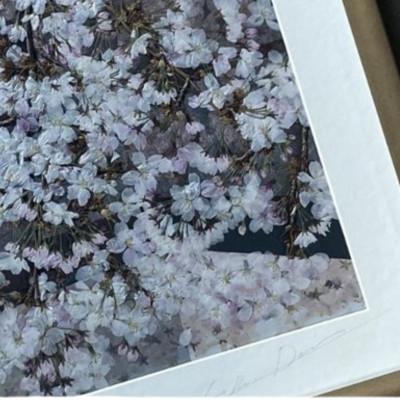 ふるさと納税 千早赤阪村 1点もの　押し花アート 『春咲き乱れ』額付き |  | 01