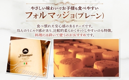熟成チーズ2種食べ比べ ｜ ファットリアビオ北海道 フォルマッジョ グラナディエゾ セット 北海道 札幌市