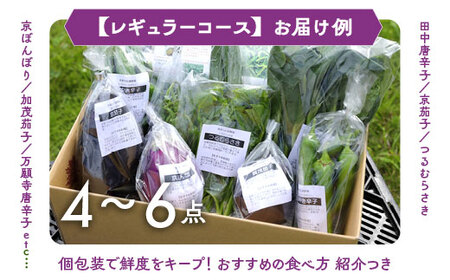 【6回定期便】旬の京野菜 毎月お届けレギュラーコース（全6回）＆『葉酸たまご』6個入り×1パック×3回分付≪定期便 野菜 ふるさと納税野菜 野菜 定期便 詰め合わせ 野菜 定期便 野菜 定期便 野菜セ