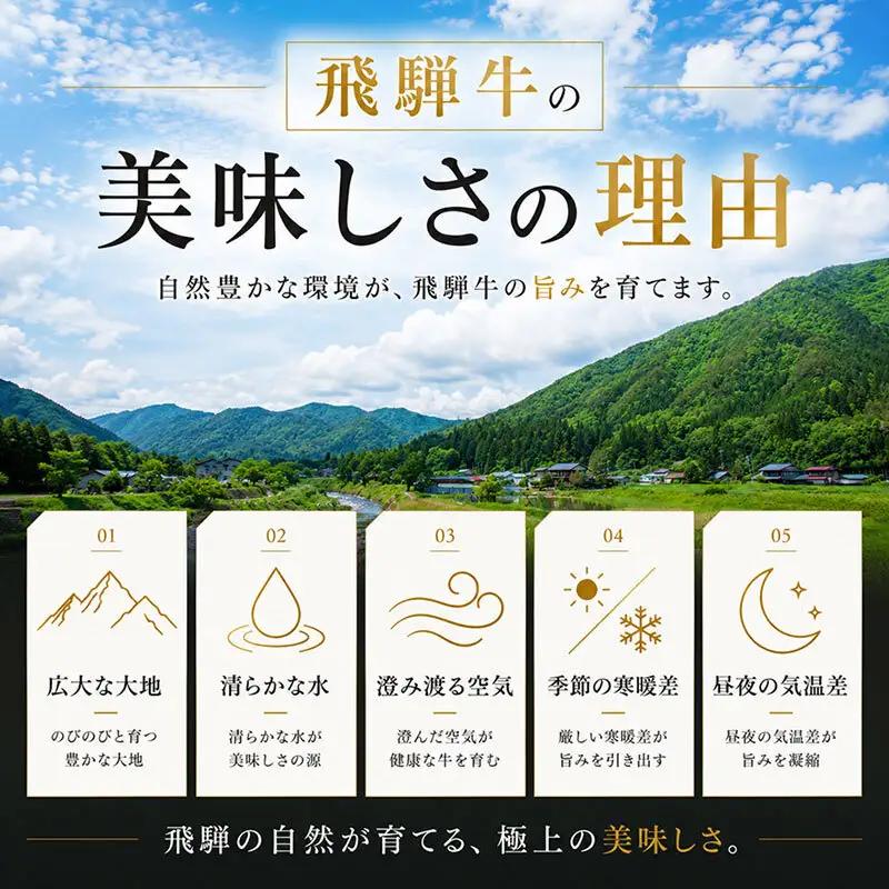 飛騨牛焼肉セット ロース カルビ A5 和牛 飛騨牛焼肉セット【計600g】