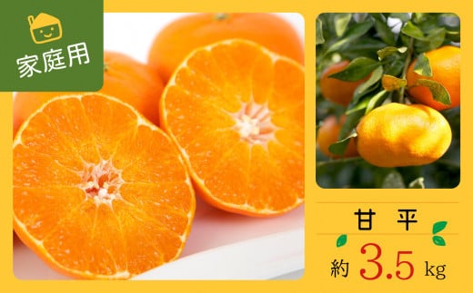 コウ果樹園の 家庭用 ＜ 甘平 ＞3.5kg＜C33-32＞_ かんぺい ご家庭用 みかん ミカン 蜜柑 柑橘類 柑橘 フルーツ 果物 くだもの 愛媛県 八幡浜市 人気 美味しい ふるさと 【1441221】