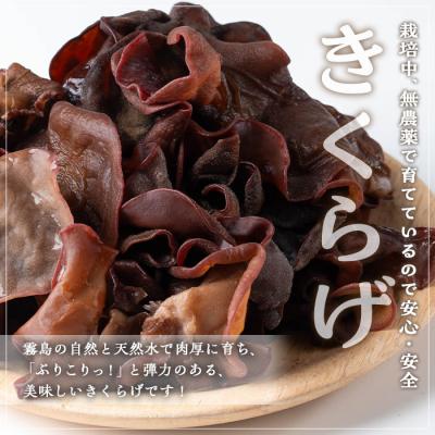 ふるさと納税 曽於市 国産きくらげ (40g×3袋) |  | 02