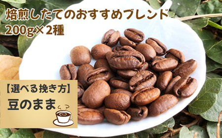 焙煎したてのおすすめブレンド 200g×2種（豆） No.171-01