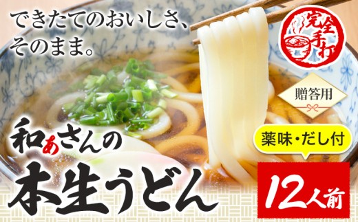 おうどんセット 12人前 《90日以内に出荷予定(土日祝除く)》和ぁさん家、株式会社栄工製作所 うどん 麺 生麺 生うどん 本格 手作り 和食 ご家庭用 こだわり お手軽 ギフト セット 薬味 だし付き 徳島県 美馬市 st-p