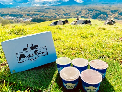 【3ヵ月定期便】アイス 三田牧場 特製 アイスクリーム 4種類 10個 セット ミルク チョコレート いちごミルク ラムレーズン お菓子 デザート 新鮮 生乳 練乳 生クリーム 