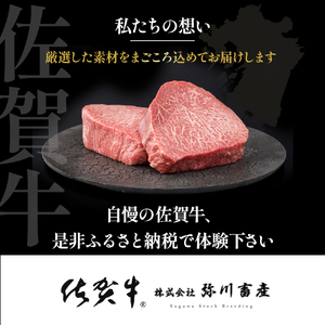 PE3 佐賀産和牛 “厚切り” サーロインステーキ 400g (200g×2枚) サーロイン ステーキ 国産牛 和牛 ブランド牛 牛肉 肉 高級 人気 おすすめ 佐賀県 太良町