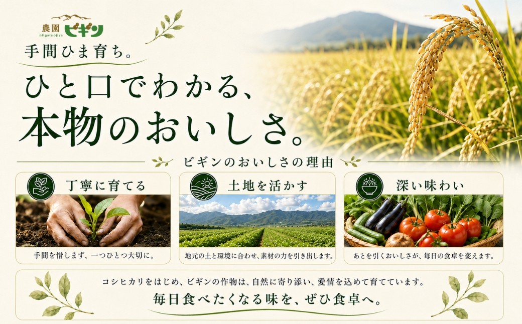 すっきり高い甘みと厚い果肉！完熟すれば皮の際まで柔らかくて美味しい