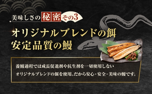 めぐみうなぎ 堪能うなぎづくし セット 【 蒲焼 × 4 ／ 白焼き × 2 ／ 肝 × 2 】 うなぎ 鰻 ウナギ unagi 国産うなぎ 詰め合わせ 蒲焼き 白焼き 肝 きも 食べ比べ セット うな重 冷凍 敬老の日 ギフト プレゼント 贈答 お祝い 内祝い のし対応 お歳暮 年末年始 完全無投薬養殖 女性養鰻師 大阪府 熊取町