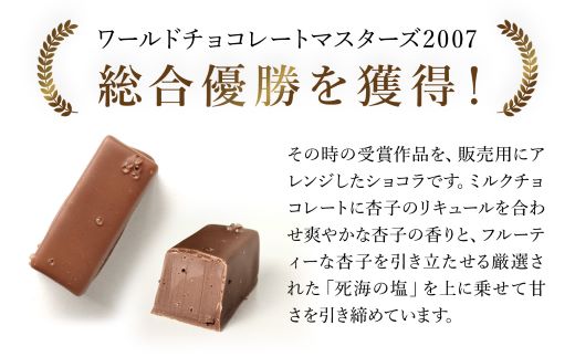 洋菓子マウンテン　杏と塩 / スイーツ 洋菓子 チョコレート ショコラ ショコラティエ 世界大会 総合優勝 ミルクチョコレート 杏 フルーティ 死海の塩 5個入 ギフト プレゼント 福知山市 京都府 