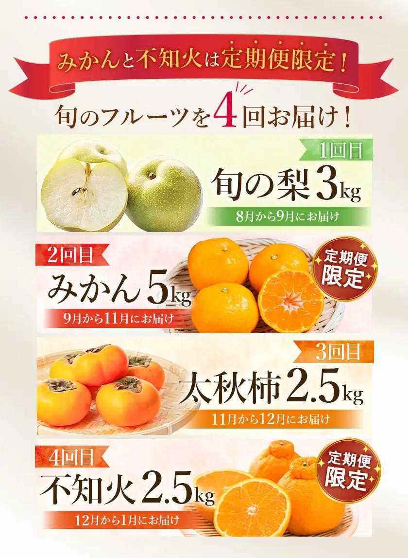 先行予約 4回 フルーツ 定期便 梨 みかん 柿 不知火 緑伸園  熊本