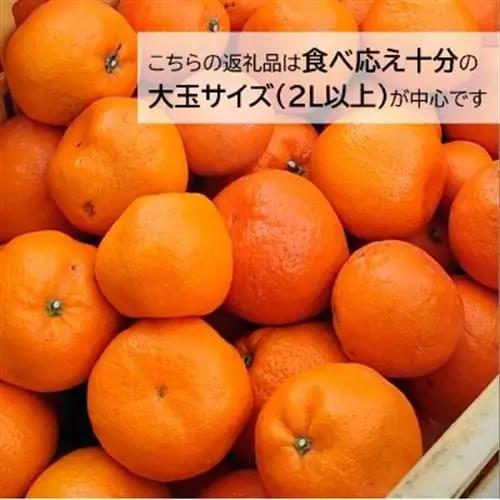 2027年1月～発送 訳あり・ご家庭用　どの坂果樹園の熟成早生みかん　約5kg(大玉中心)【1556451】