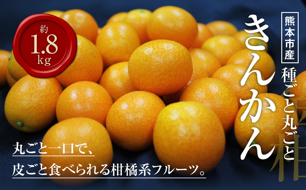 
                  熊本市産 種ごと 丸ごと きんかん 約1.8kg 金柑 キンカン 【2027年1月下旬～2月下旬迄発送予定】
                