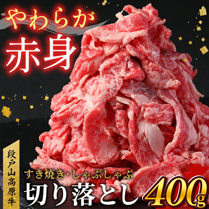【ふるさと納税】《お届け月が選べる！》赤身がおいしい！国産ブランド牛 牛肉 切り落とし 400g (200g×2） 小分け 段戸山高原牛 幻 牛 国産 牛肉 牛 スライス 小分け 大満足 赤身 肉 数量限定 肉 柔らかい 国産牛 ブランド牛 5000円 -070