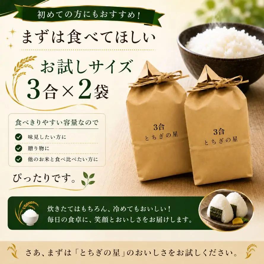 令和7年産 真岡市産 とちぎの星（お試しサイズ） 米 3合×2袋 | お米 送料無料