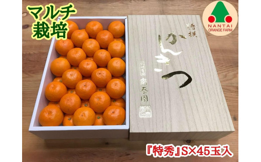 
マルチ栽培 有田みかん 化粧箱 特秀 S サイズ 45玉入 南泰園
