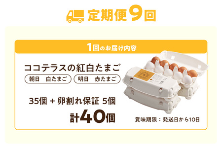 【9ヵ月定期便】ココテラスの紅白たまご　35個 + 5個保証（計40個）【JGAP認証】 農家直送 新鮮 卵 タマゴ 赤卵 白卵 玉子 鶏卵 朝食 夕食 夜食 朝ごはん たまご焼き だし巻き卵 オムレ