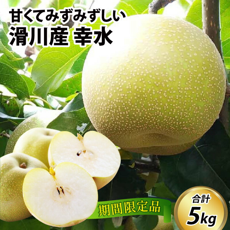【ふるさと納税】【先行予約】梨（幸水）5kg 11～14玉　※2025年8月下旬以降順次発送予定 / なし フルーツ 果物 新鮮 スイーツ 予約梨 旬の梨 くだもの 富山 富山県 滑川市 送料無料 新山果樹園