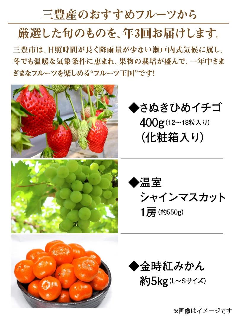 M02-0134_【ふるさと納税】【配送不可地域：北海道・沖縄県・離島】人気の厳選 フルーツ 定期便(年3回) いちご 400g シャインマスカット 1房 (約550g) みかん (約5kg) さぬき