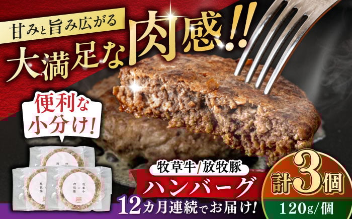 
            【全12回定期便】　【牧草牛×放牧豚】ハンバーグ 3個 《厚真町》【GOODGOOD株式会社】 ハンバーグ 牛肉 豚肉 ジビエ 小分け 冷凍配送 北海道 [AXBP025]
          