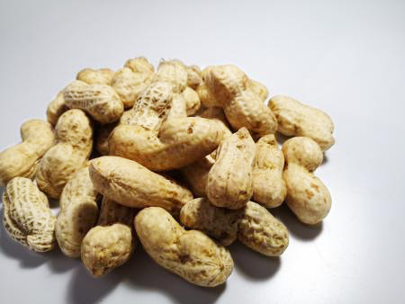 
                  大粒生落花生「おおまさり」3kg ｜ 落花生 大粒 ピーナッツ おつまみ 国産 おやつ 冷蔵 那須 栃木県 那須町〔P-83〕 ※2026年9月～発送
                