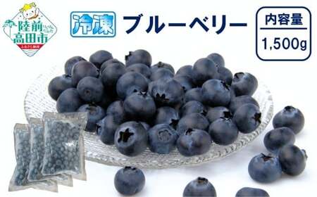先行予約 冷凍ブルーベリー 500g×3袋 フルーツ ブルーベリー
