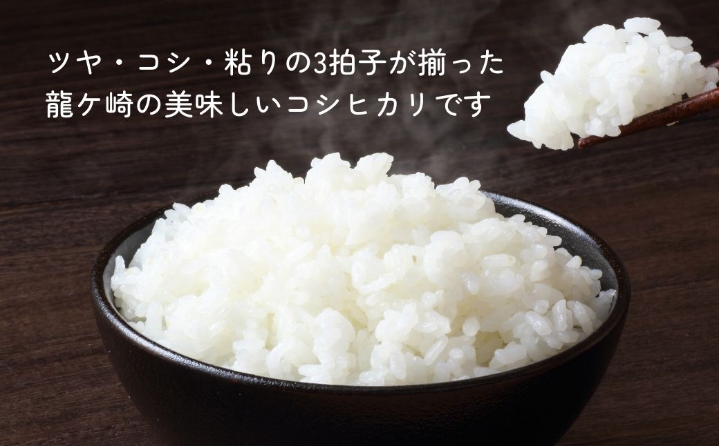 ＜定期便3回＞【令和7年度新米】龍ケ崎の特別栽培米 コシヒカリ 10kg(5kg×2袋) | こしひかり お米 米 こめ 白米 精米 新米 特別栽培米 冷めてもおいしい 美味しい こだわり おにぎり 