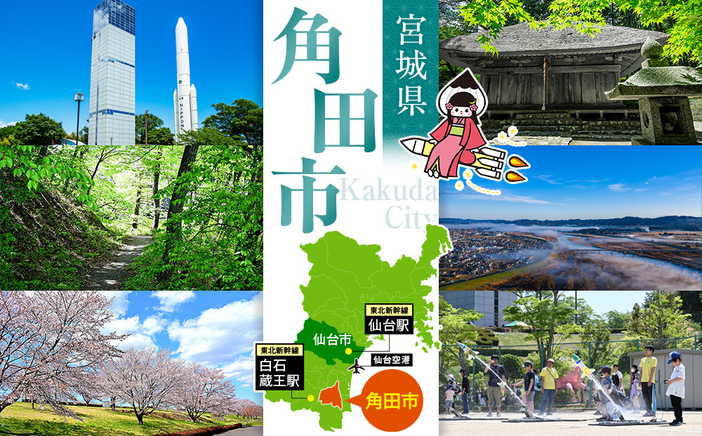 【先行予約】角田市産ぶどう【クイーンニーナ】1房（約500g）【2026年9月末より順次発送】