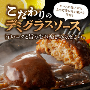 大容量！デミグラスソースハンバーグ　160ｇ×20個セット 【数量限定】K04404