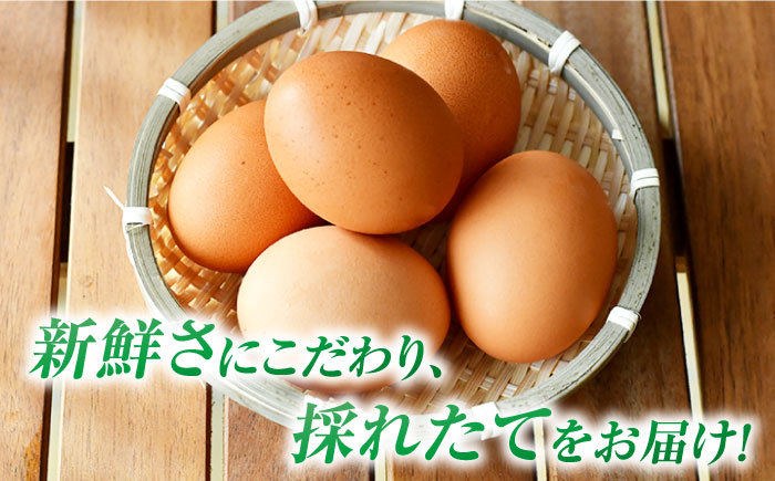 【3回定期便】【お得な箱入り】五島の恵みたまご M〜Lサイズ 50個入 / 卵 赤玉子 五島市 / 五島列島大石養鶏場 [PFQ048]