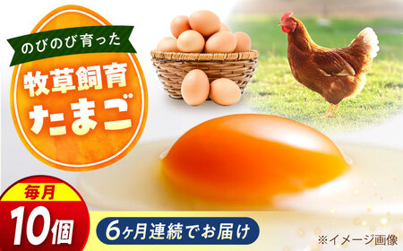 【全6回定期便】天心山 たまご 10個入り×1パック 卵 たまご 高級 食品 たまごかけご飯 卵かけご飯 卵焼き 生卵 濃厚 ケーキ お菓子 づくり ランキング 上位 人気 おすすめ 定期便　広島県福山市/天心山ファーム[BABW023]