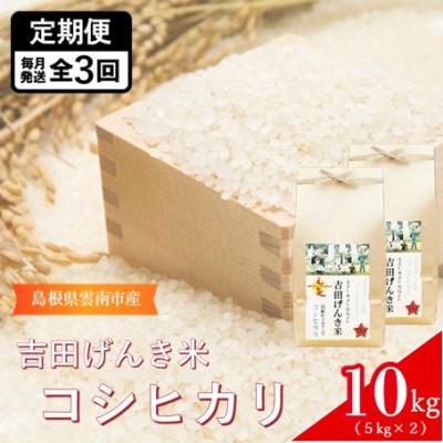 ふるさと納税 雲南市 【毎月定期便】島根県雲南市産　吉田げんき米　コシヒカリ　10kg(5kg×2)全3回