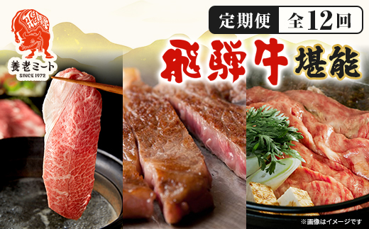 【毎月定期便】月替わりで色々な飛騨牛を楽しめる全12回【配送不可地域：離島】【4051412】