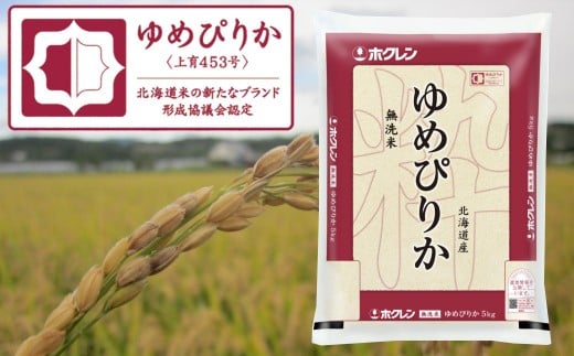 【ふるさと納税】（無洗米5kg）ホクレンゆめぴりか