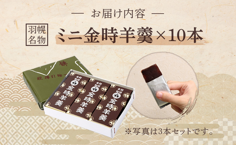 羽幌名物 ミニ金時羊羹10本入【11111】 ミニ金時羊羹10本入