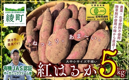 
【有機JAS】 紅はるか 5kg さつまいも 甘藷 無農薬 オーガニック 【サイズ不揃い】 訳あり（0083-034）
