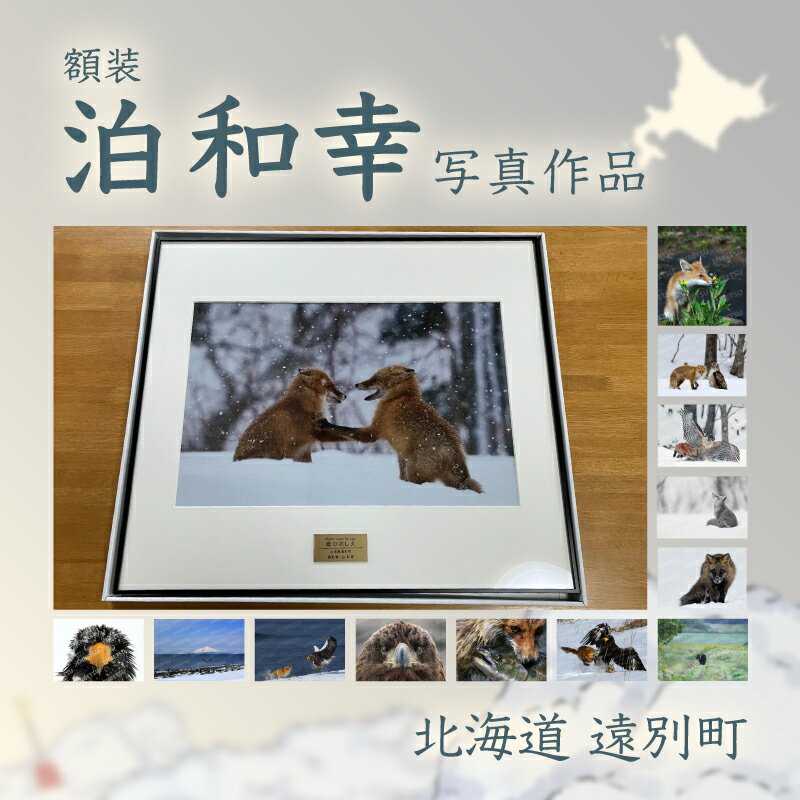 【ふるさと納税】北海道遠別町 写真作家・泊和幸 額装作品｜野鳥と自然が織りなす一瞬の美（四つ切〜全倍サイズ）